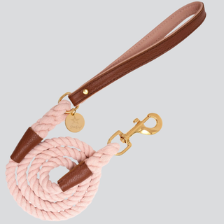 Doggie Collars, Harnesses & Leashes