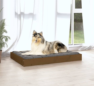 Doggie Beds & Furniture