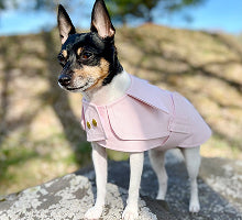 Doggie Apparel