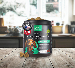 Vitamins & Supplements for Dogs & Cats