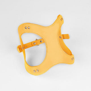 Pet Adventure Leash Set-3