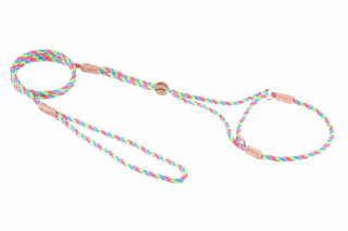 Nylon Martingale Leads (8in x 1/8in or 4mm)