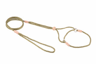 Nylon Martingale Leads (8in x 1/8in or 4mm)