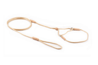 Nylon Martingale Leads (8in x 1/16 or 2 mm)