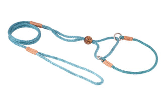 Nylon Martingale Leads (10in x 1/8in or 4mm)