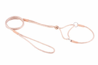 Nylon Martingale Leads (8in x 1/8in or 4mm)