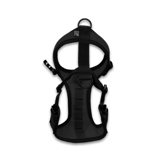 Walk-On with Harness & Storage