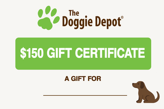 In Store Gift Certificate