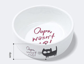 Pet Food And Water Dispenser For Cats And Dogs-6