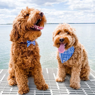 Navy Watercolor Plaid Dog Bandana