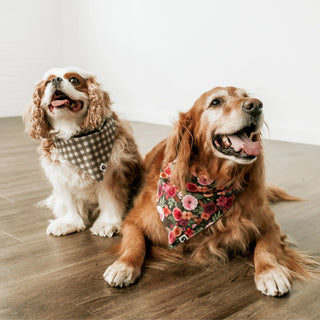 Mountain Stone Dog Bandana