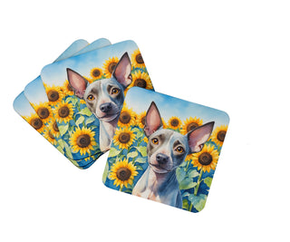 American Hairless Terrier in Sunflowers Foam Coasters