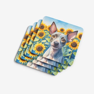 American Hairless Terrier in Sunflowers Foam Coasters