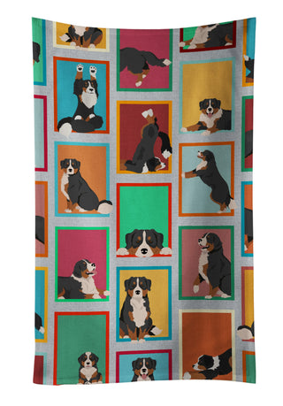 Lots of Bernese Mountain Dog Foam Coasters
