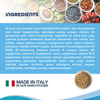 Forza10 Active Dermo Dry Cat Food