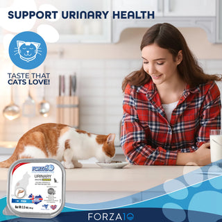 Forza10 Actiwet Urinary Support Icelandic Fish Recipe Canned Cat Food