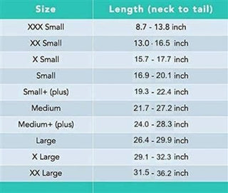 Suitical Dog Recovery Suits