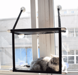 Luxury Cat Haven: The Ultimate Window Sill Cat Hammock-4
