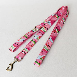 Nature-Inspired Floral Dog Collar And Leash Set-1