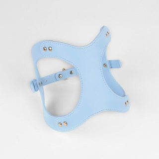 Pet Adventure Leash Set-14