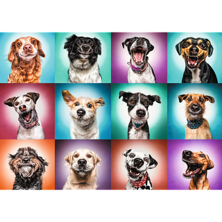 2000 piece Jigsaw Puzzles - Funny dog portraits II, 1000 Piece Jigsaw Puzzle
