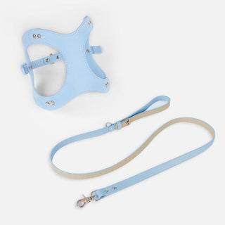 Pet Adventure Leash Set-18