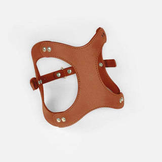 Pet Adventure Leash Set-15