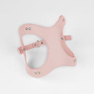 Pet Adventure Leash Set-16