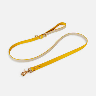 Pet Adventure Leash Set-12