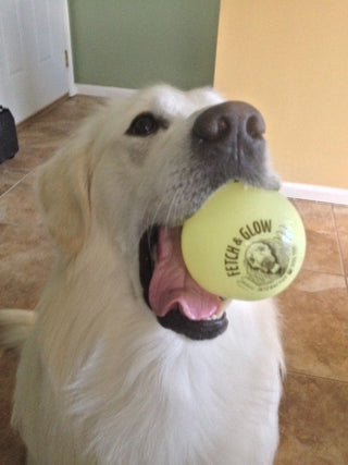 Fetch & Glow Ball