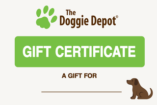 In Store Gift Certificate