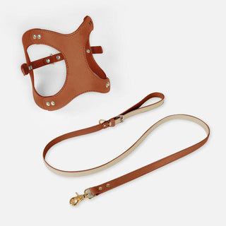 Pet Adventure Leash Set-19