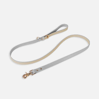 Pet Adventure Leash Set-13