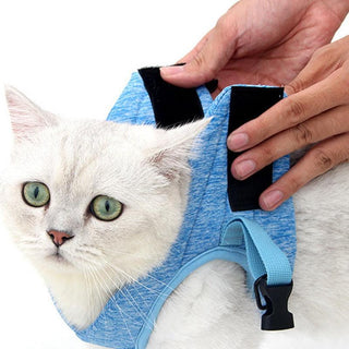 Adventure Cat Leash Vest-3