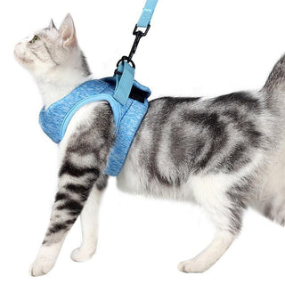 Adventure Cat Leash Vest-4