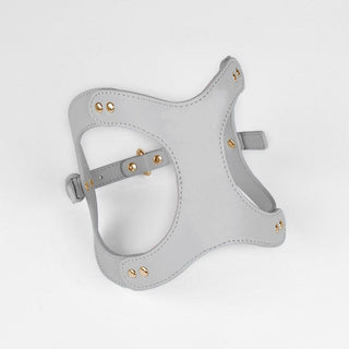 Pet Adventure Leash Set-17