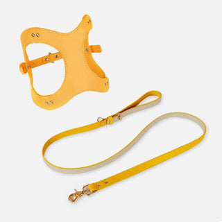 Pet Adventure Leash Set-21