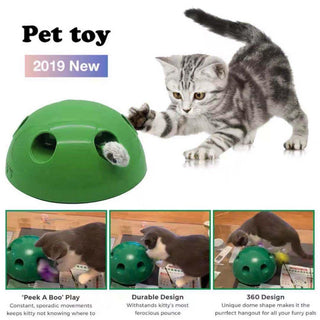 Electric Mouse Chase Cat Toy-2