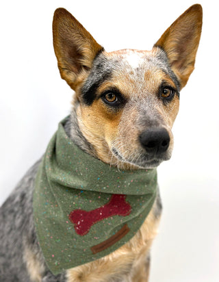 DCNY Fesitve Fir Confetti Bandana-1