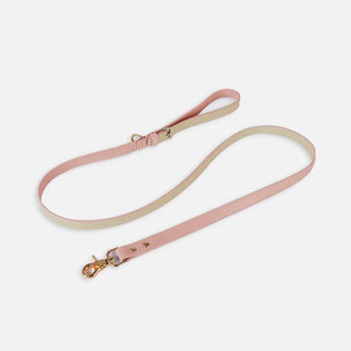 Pet Adventure Leash Set-11